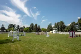 21973 132 Avenue, Maple Ridge, BC