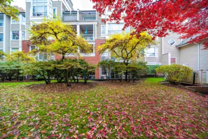 Neighborhood Park Photo Near 203 5270 Oakmount Crescent, Burnaby, BC