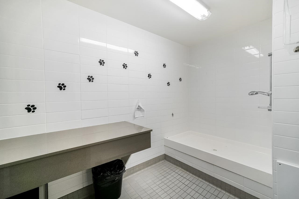 Community Amenities Photo (Clubhouse) of 49 8138 204 Street, Langley, BC