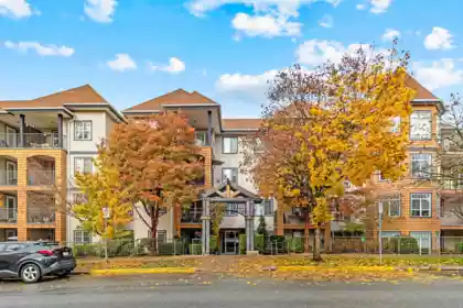 409 12207 224 Street, Maple Ridge, BC, Maple Ridge — Apartment/Condo for sale