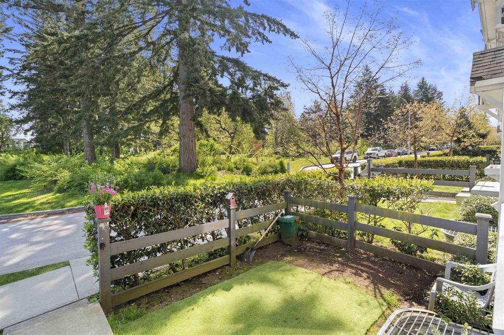 Backyard Photo of 8 16678 25 Avenue, Surrey, BC