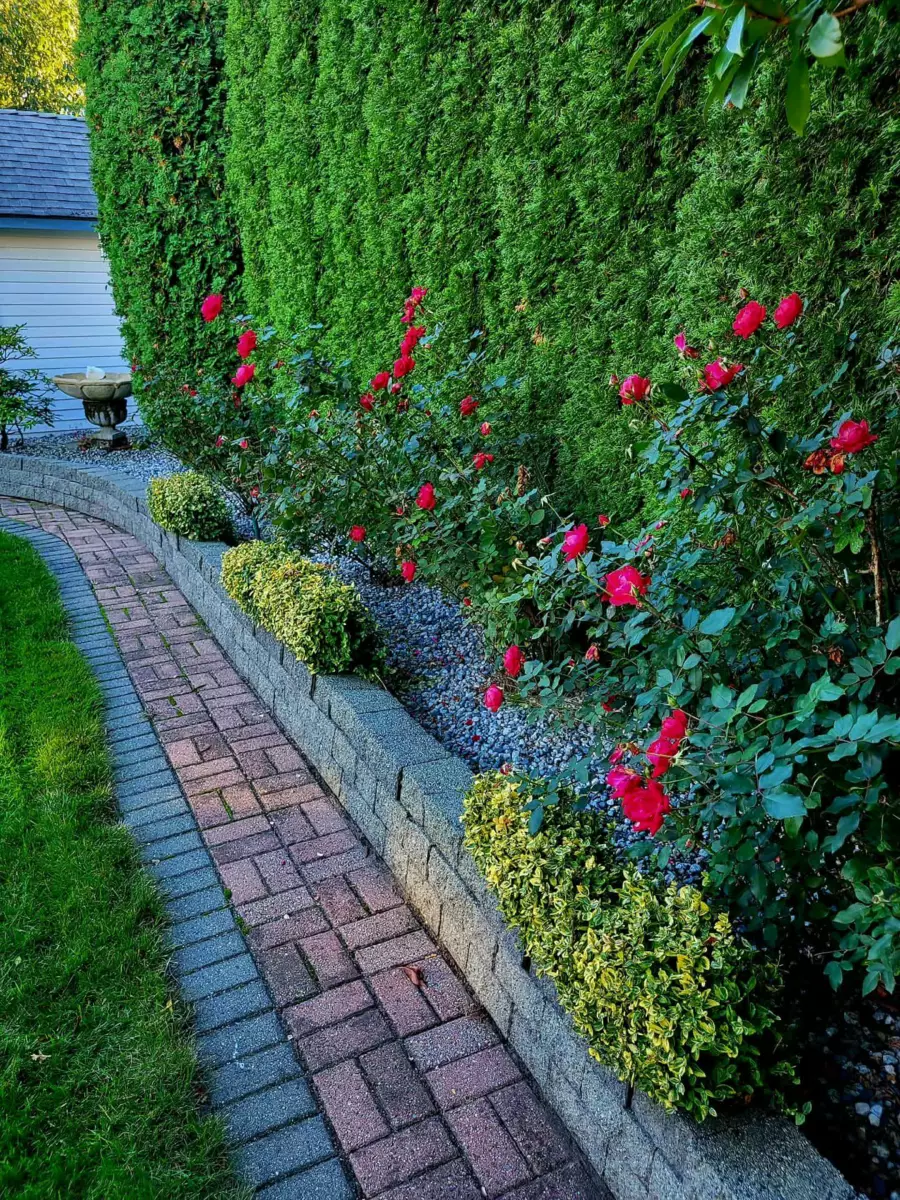 Outdoor Kitchen Photo of 6041 186 Street, Surrey, BC