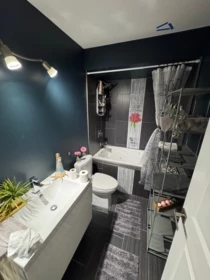 Powder Room Photo of 20 45762 Safflower Crescent, Chilliwack, BC