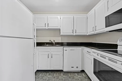 Kitchen Photo of 306 1260 W 10th Avenue, Vancouver, BC