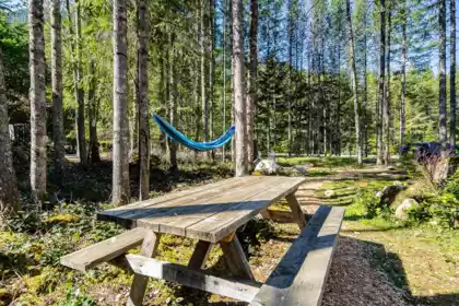Garden / Landscaping Photo of 5362 W Paulsen Road, Chilliwack, BC