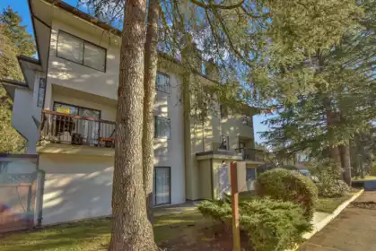 Community Amenities Photo (Clubhouse) of 203 7064 133b Street, Surrey, BC
