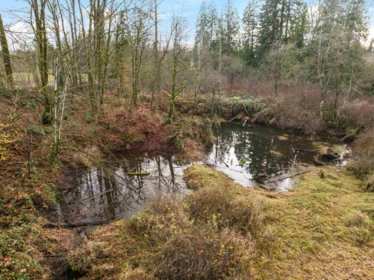 Neighborhood Park Photo Near 6271 272 Street, Langley, BC