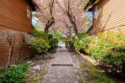 Backyard Photo of 412 10620 150 Street, Surrey, BC