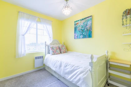 Basement Recreation Room Photo of 41 11272 240 Street, Maple Ridge, BC