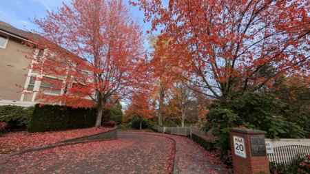 Outdoor Patio Photo of 307 5270 Oakmount Crescent, Burnaby, BC