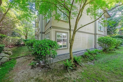 Backyard Photo of 116 14885 105 Avenue, Surrey, BC
