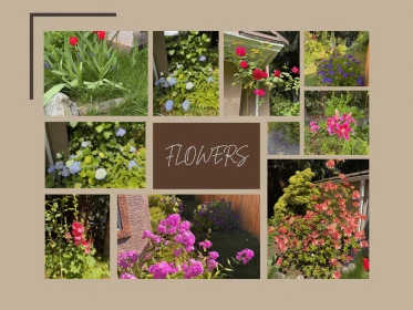 Garden / Landscaping Photo of 4144 Belanger Drive, Abbotsford, BC