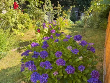 Hot Tub / Spa Photo of 4144 Belanger Drive, Abbotsford, BC