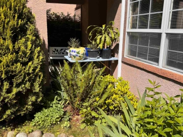 Outdoor Deck Photo of 4144 Belanger Drive, Abbotsford, BC