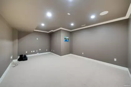 Aerial View of 3928 159 Street, Surrey, BC