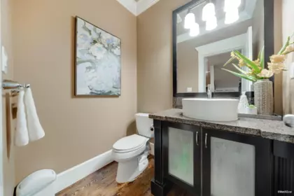 Basement Recreation Room Photo of 3928 159 Street, Surrey, BC