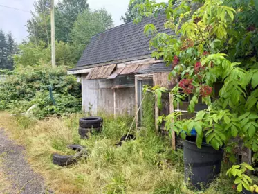 Pantry Photo of 30117 Harris Road, Abbotsford, BC