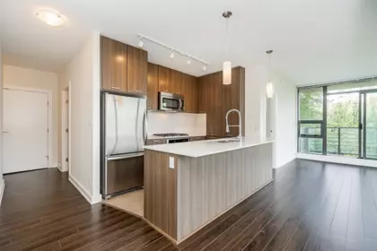 Walk-In Closet Photo of 803 301 Capilano Road, Port Moody, BC