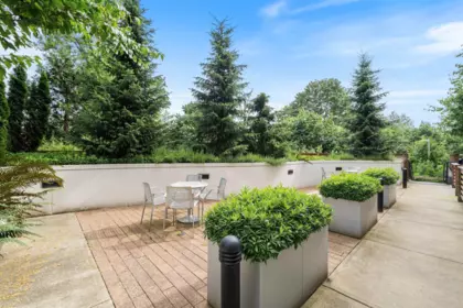 Backyard Photo of 303 3038 St George Street, Port Moody, BC