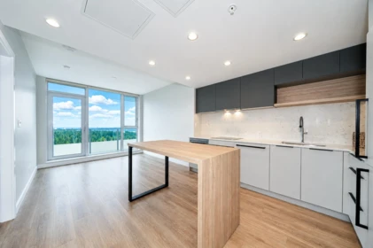 3502 567 Emerson Street, Coquitlam, BC, Coquitlam — Apartment/Condo for sale