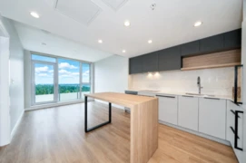 3502 567 Emerson Street, Coquitlam, BC