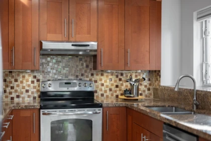 Kitchen Photo of 302 12 Laguna Court, New Westminster, BC