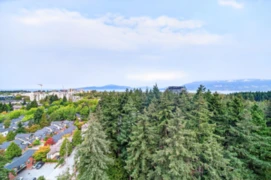 1805 5380 Crooked Branch Road, Vancouver, BC