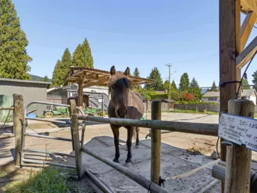 Community Amenities Photo (Clubhouse) of 788 E 26th Street, North Vancouver, BC