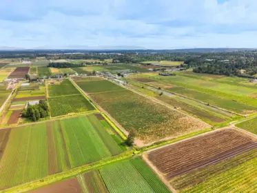 3545 176 Street, Surrey, BC, Surrey — Land for sale
