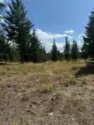 891 Raven Hill Road, No City Value, BC