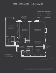 802 4603 Hazel Street, Burnaby, BC, Burnaby — Apartment/Condo for sale
