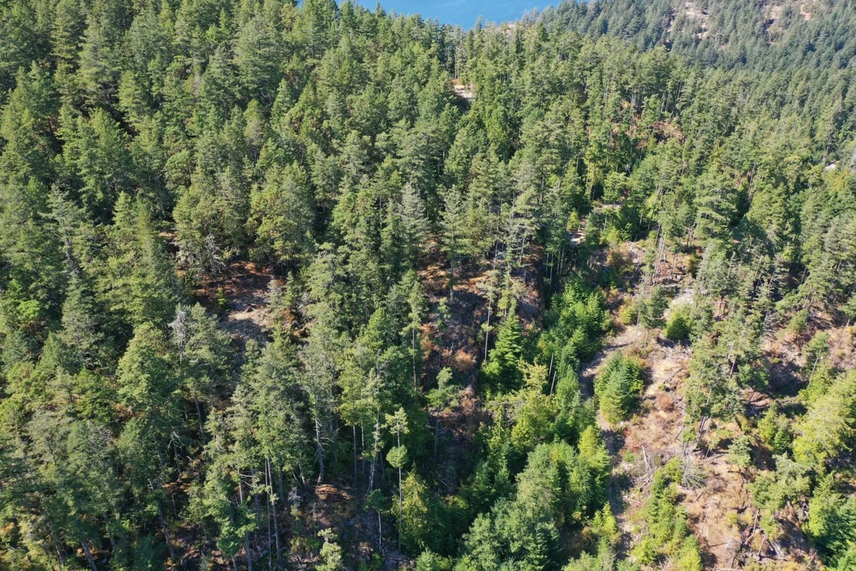 Basement Recreation Room Photo of LOT 2 13685 Lee Road, Garden Bay, BC