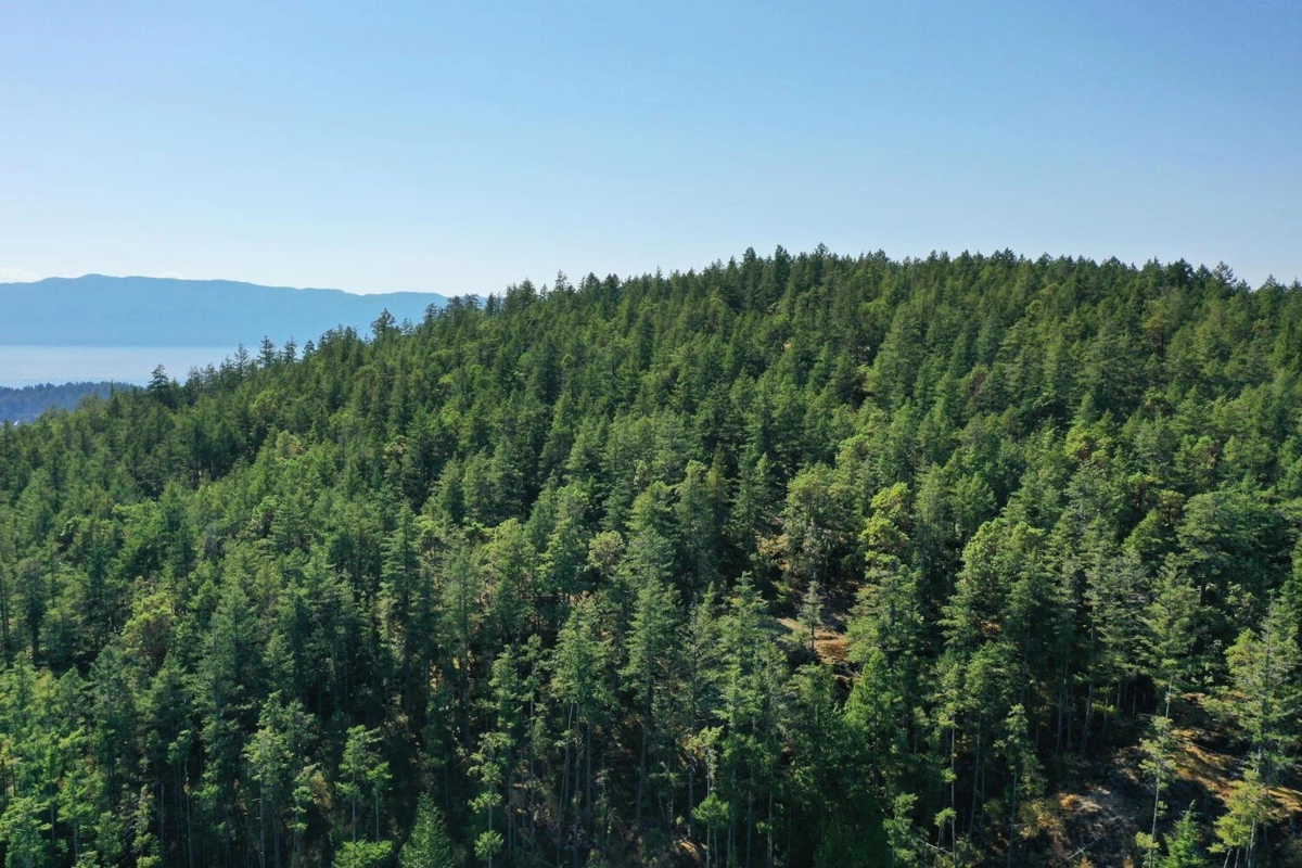 Bedroom 3 Photo of LOT 2 13685 Lee Road, Garden Bay, BC