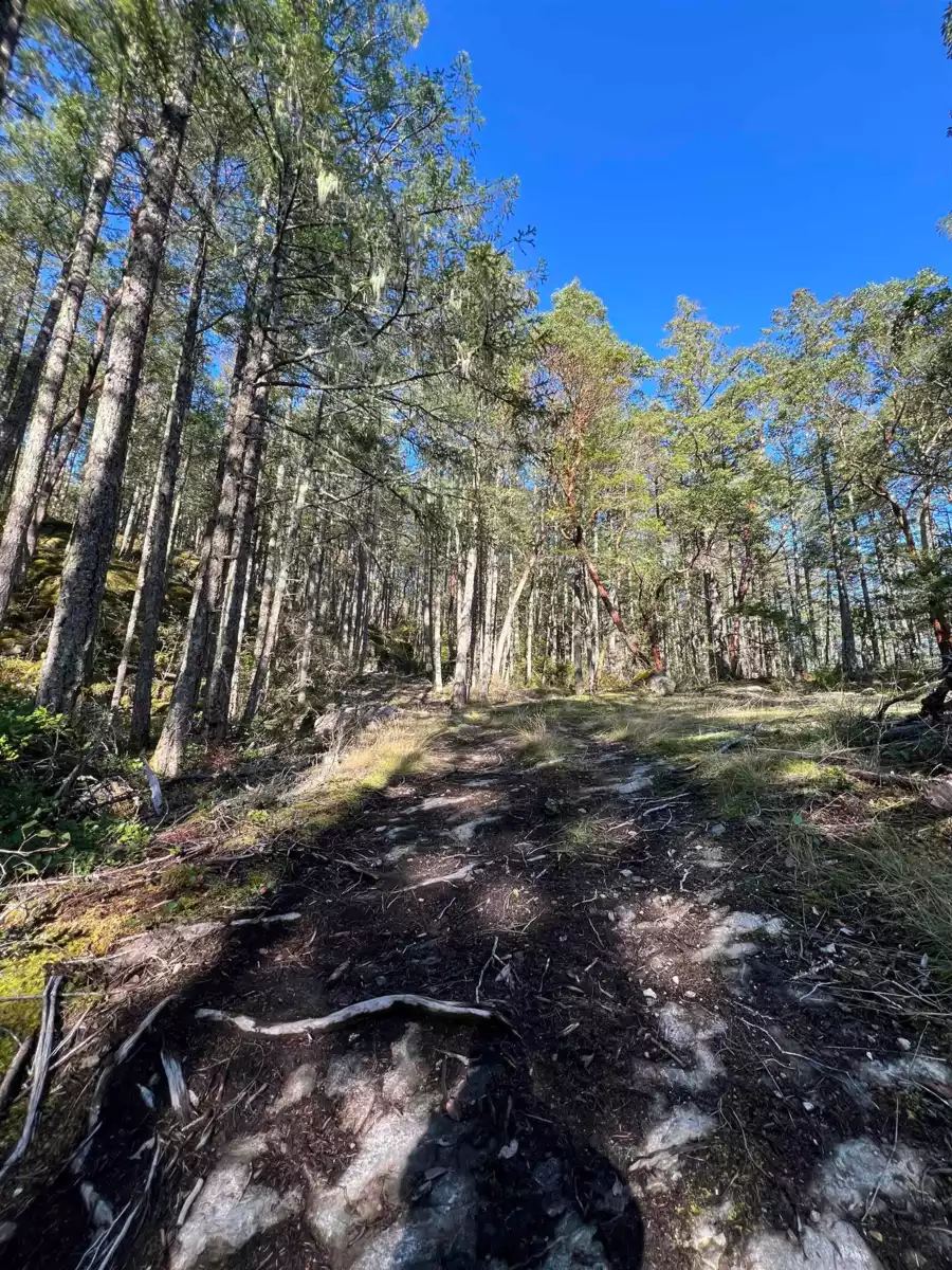 Exterior Front Photo of LOT 2 13685 Lee Road, Garden Bay, BC