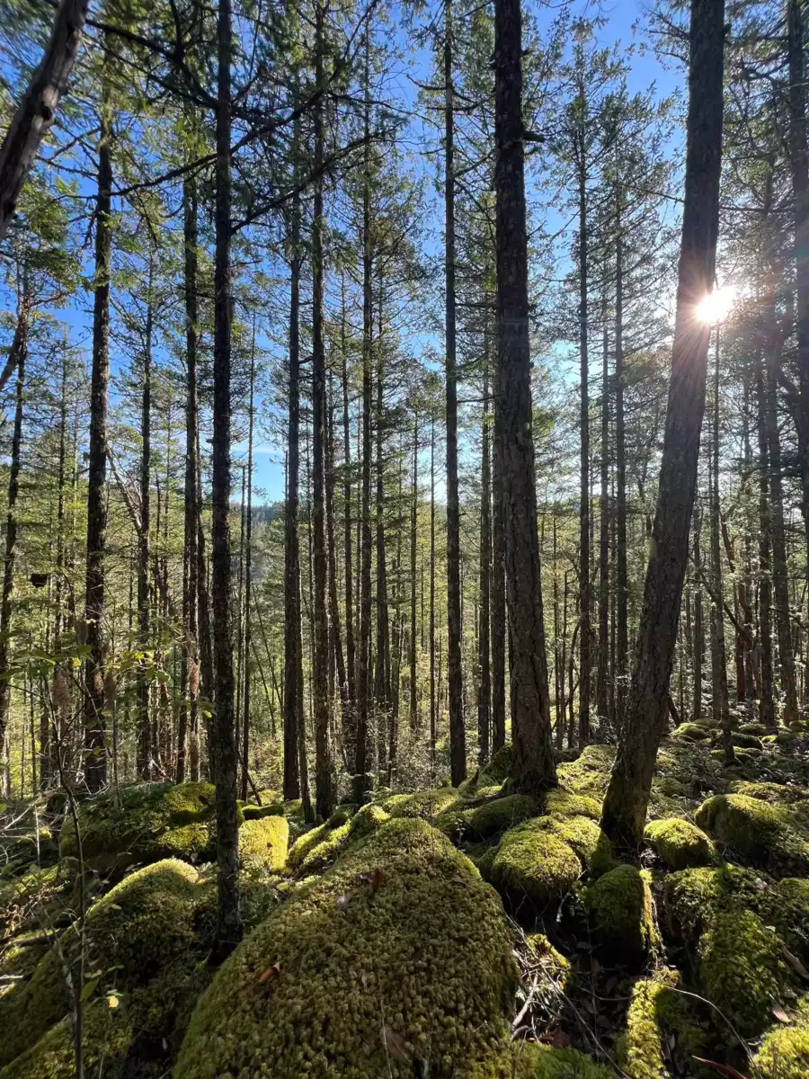 Family Room Photo of LOT 2 13685 Lee Road, Garden Bay, BC