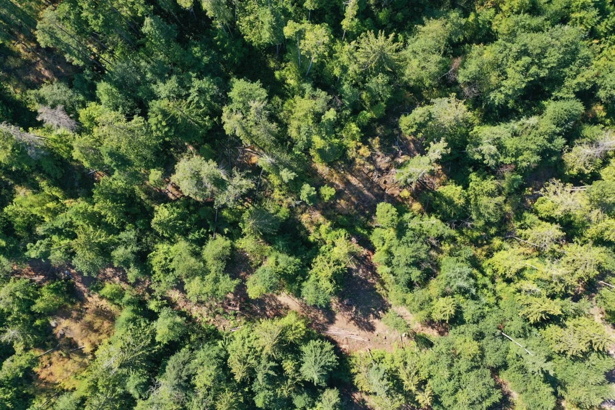 Guest Bathroom Photo of LOT 2 13685 Lee Road, Garden Bay, BC