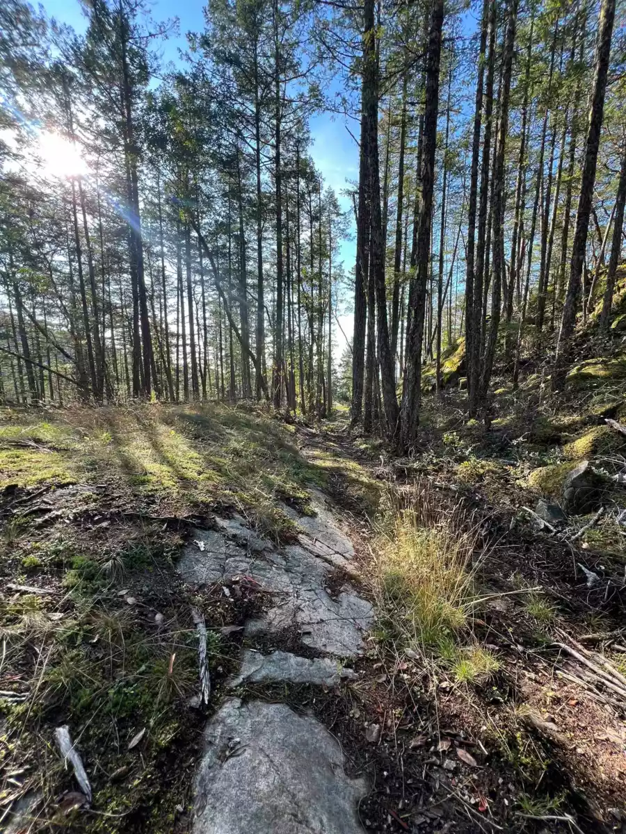 Kitchen Photo of LOT 2 13685 Lee Road, Garden Bay, BC