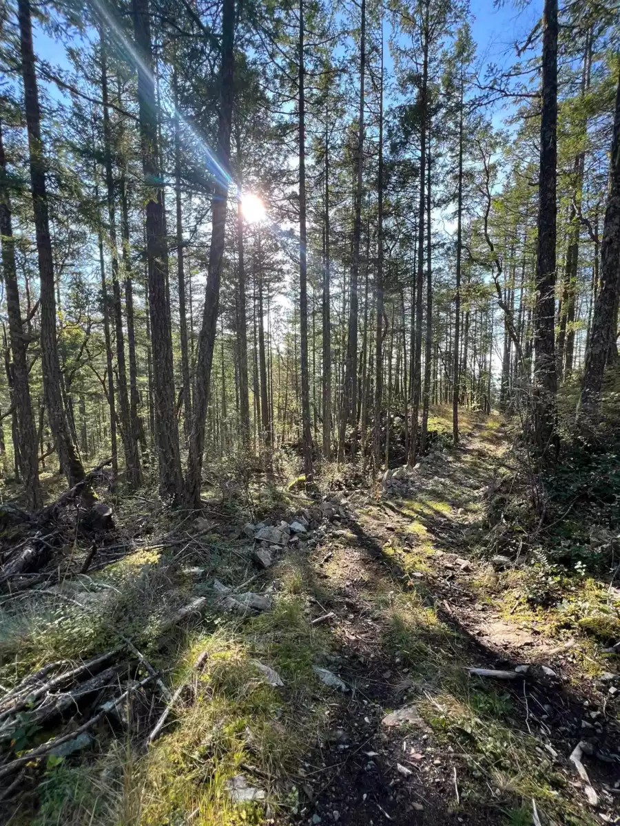 Living Room Photo of LOT 2 13685 Lee Road, Garden Bay, BC
