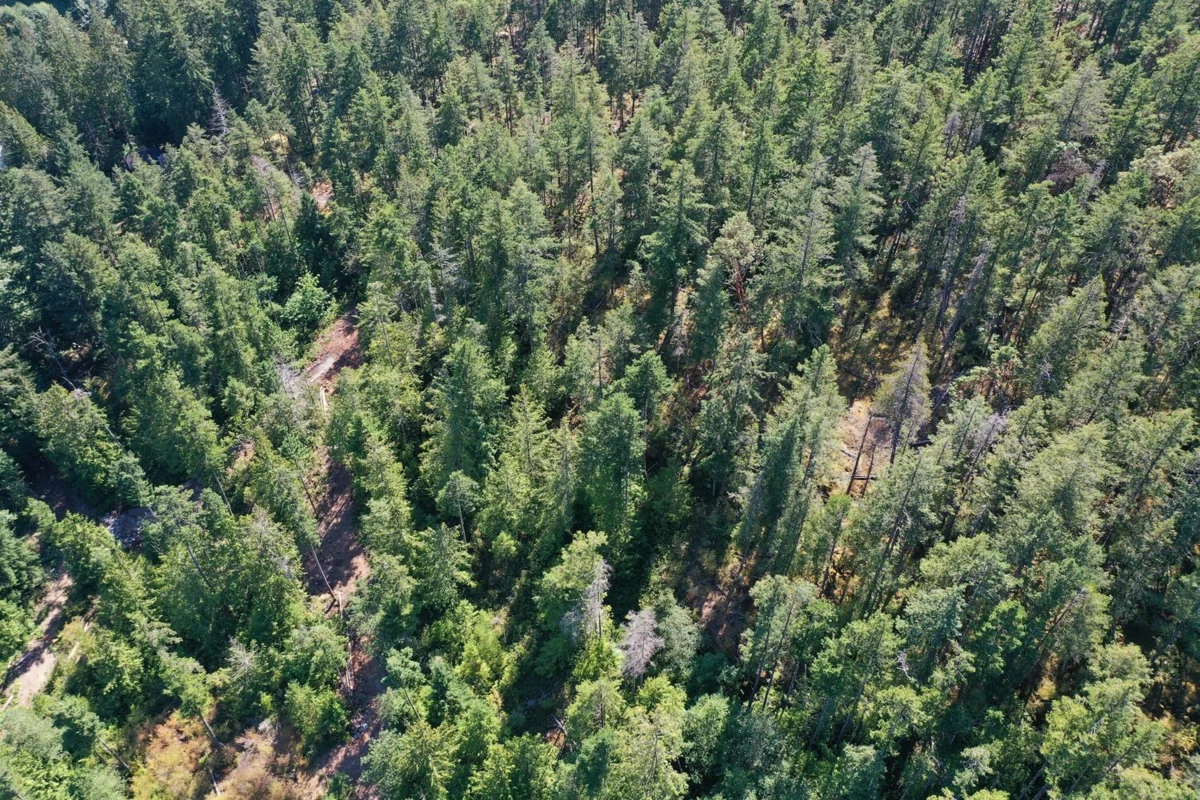 Loft / Bonus Room Photo of LOT 2 13685 Lee Road, Garden Bay, BC