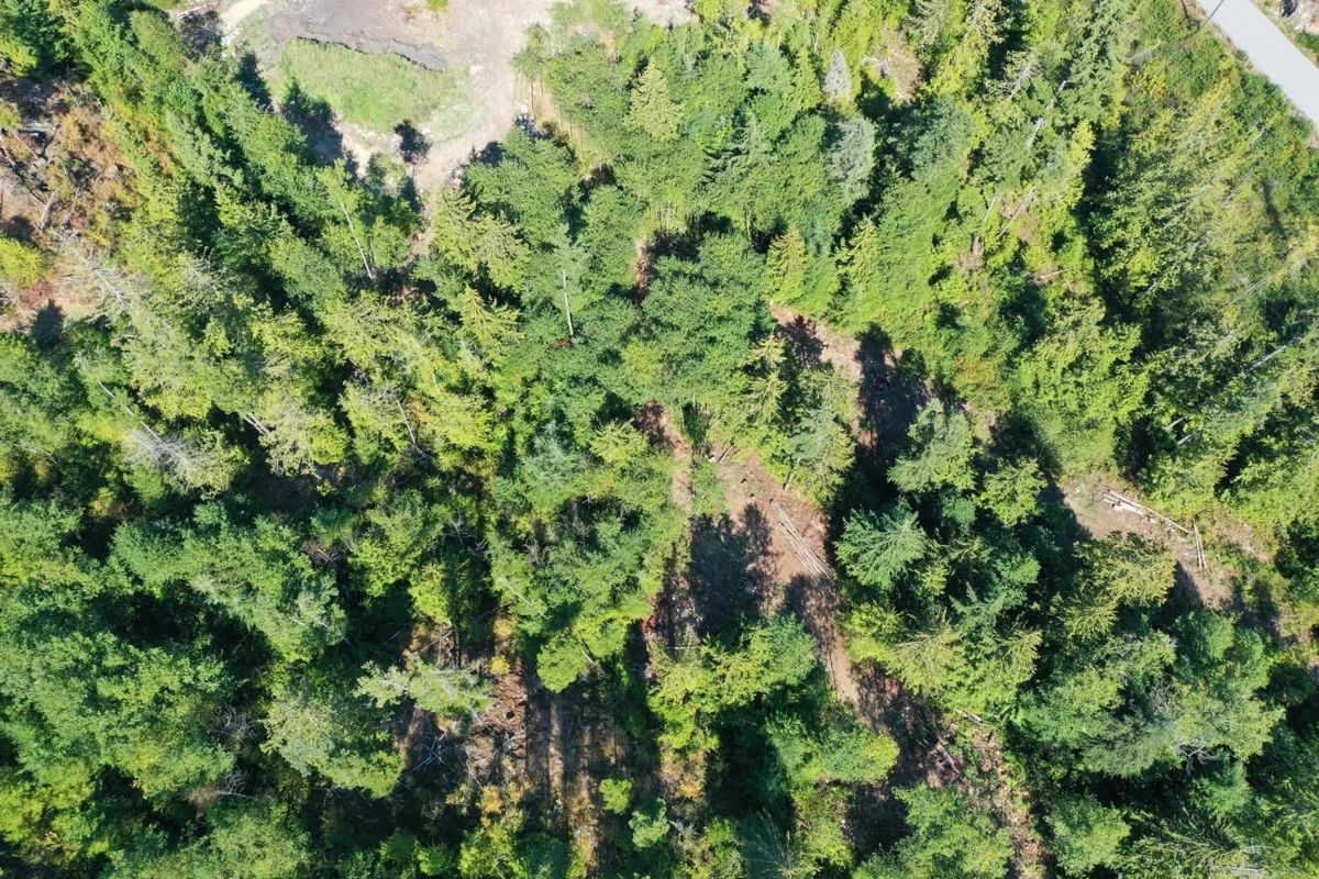 Office / Den Photo of LOT 2 13685 Lee Road, Garden Bay, BC