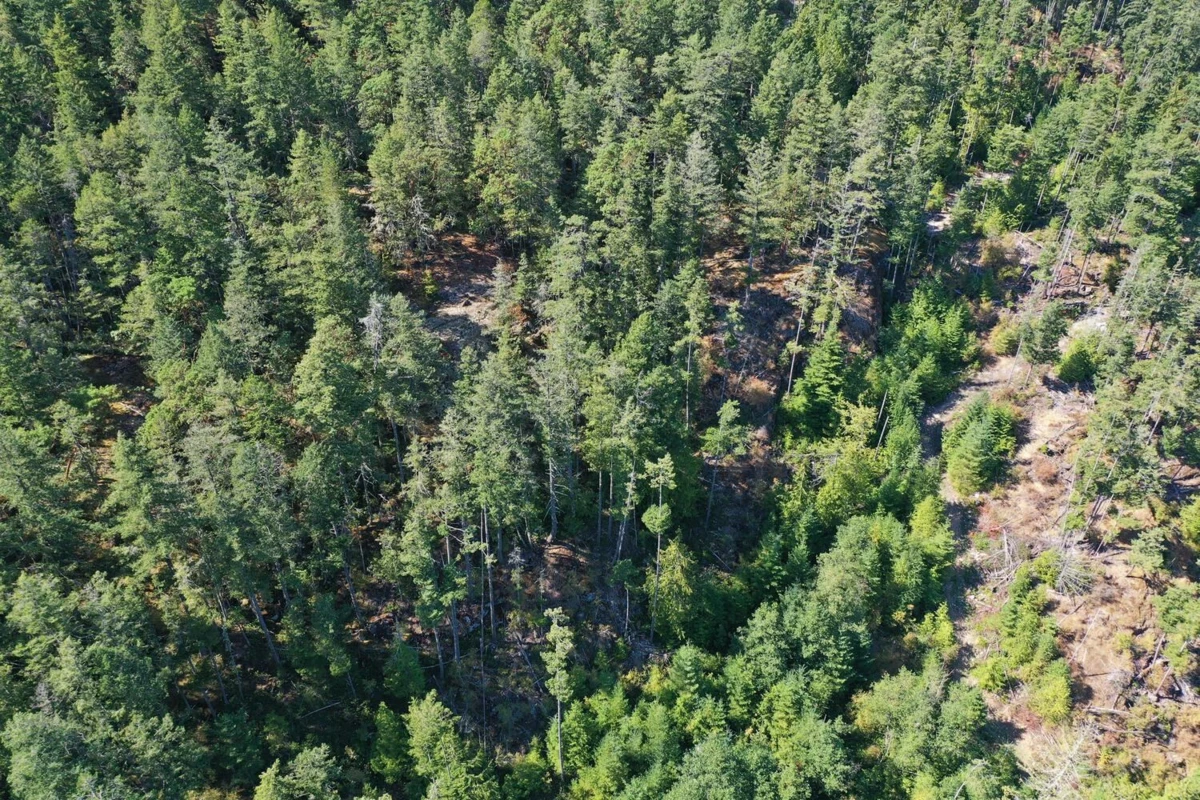 Powder Room Photo of LOT 2 13685 Lee Road, Garden Bay, BC