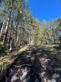 LOT 2 13685 Lee Road, Garden Bay, BC, Pender Harbour Egmont —  bed land for sale