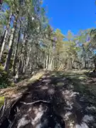 LOT 2 13685 Lee Road, Garden Bay, BC