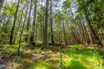 286 Orca View Lane, Galiano Island, BC, Galiano Island — Land for sale