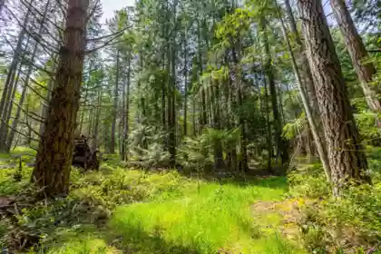286 Orca View Lane, Galiano Island, BC, Galiano Island — Land for sale