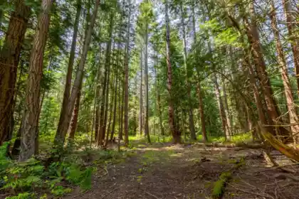 286 Orca View Lane, Galiano Island, BC, Galiano Island — Land for sale
