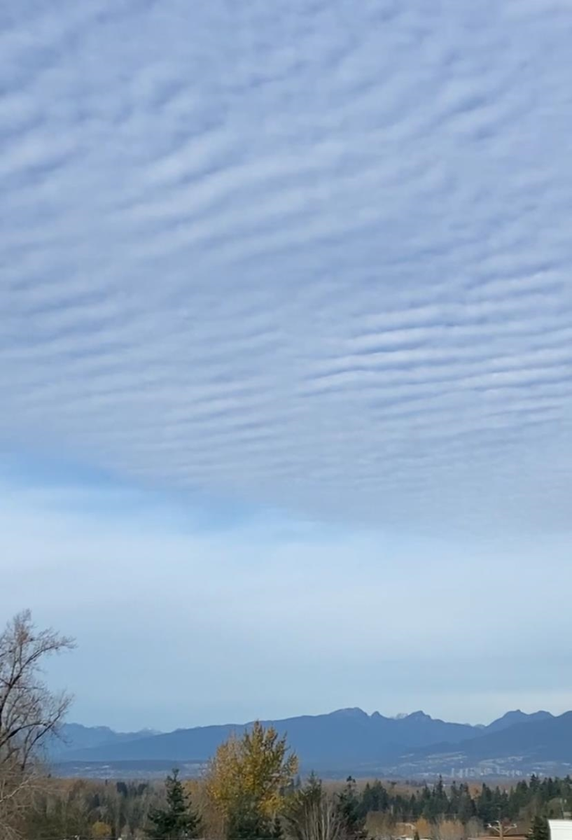 Dining Area Photo of 512 20049 82 Avenue, Langley, BC