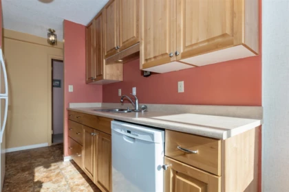 Pantry Photo of 505 740 Hamilton Street, New Westminster, BC