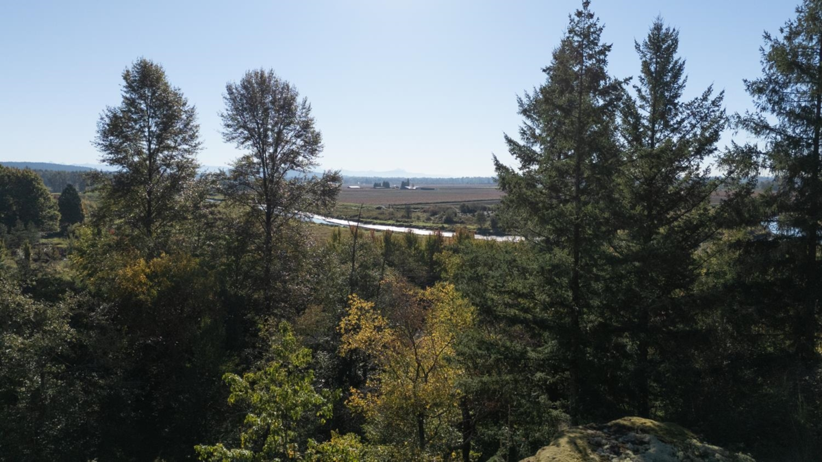 Primary Bedroom Photo of 20255 Menzies Road, Pitt Meadows, BC