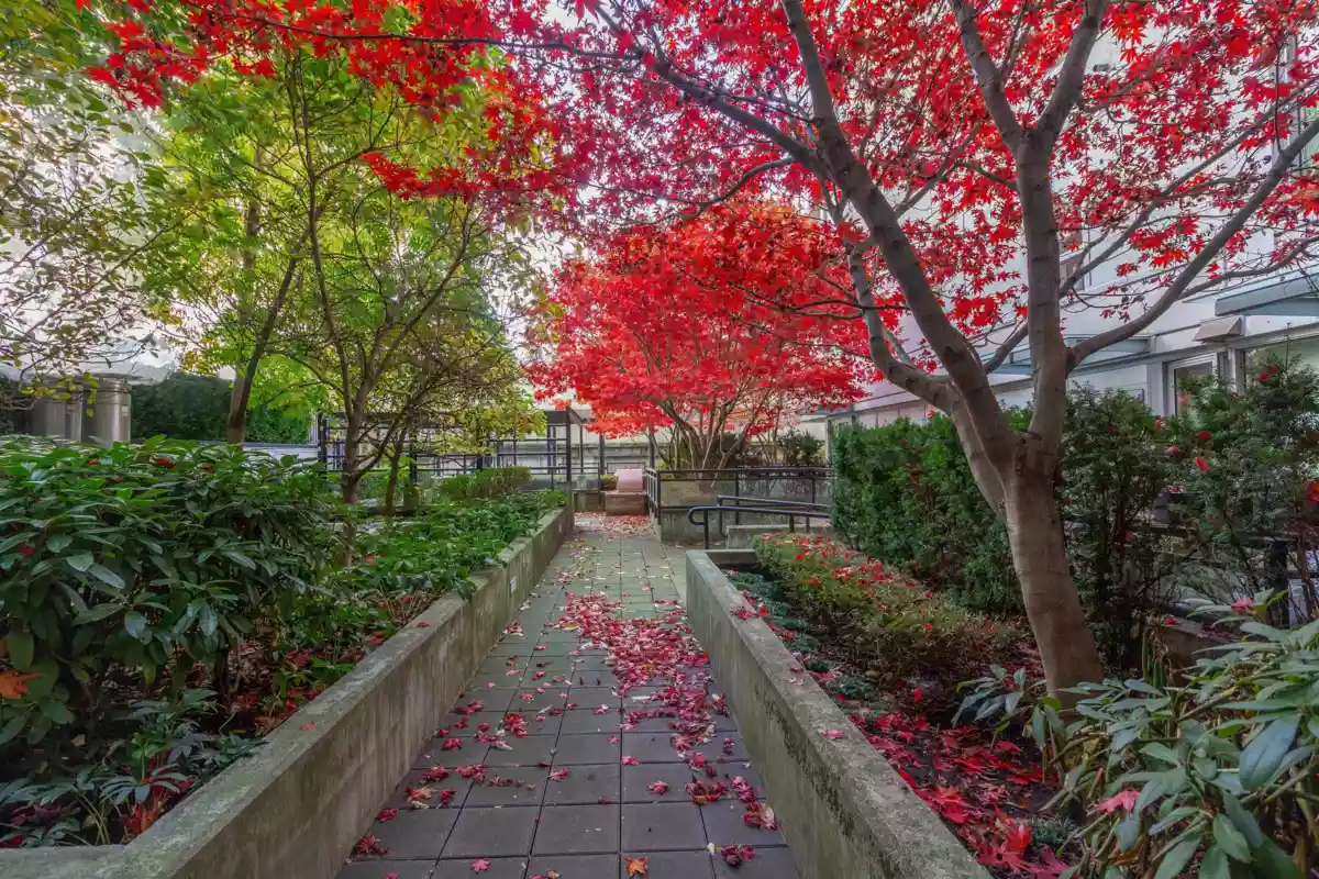 Hot Tub / Spa Photo of 1810 188 Keefer Street, Vancouver, BC
